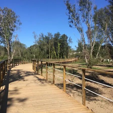 And Mountain Paradise Daire