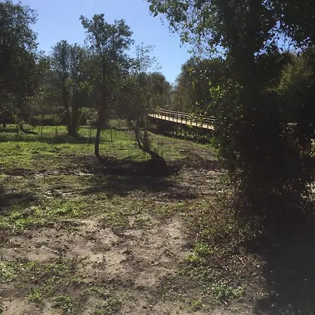 And Mountain Paradise Daire