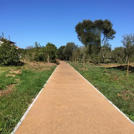 And Mountain Paradise Daire